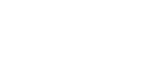 Viking Mental Health Solutions